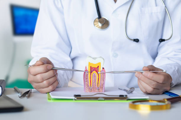 Best Knocked-Out Tooth (Avulsed Tooth) Treatment in Lake Grove, NY